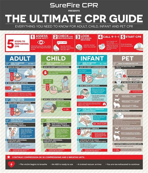 Cpr Cheat Sheets Printable 2023