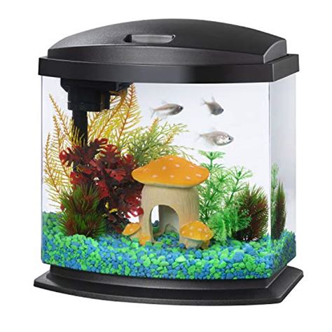 Why Fish Make Great Pets For Kids - The Witty Fish