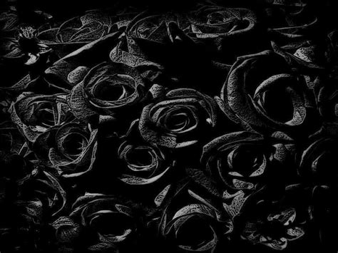 Black Roses 4K Wallpapers - Top Free Black Roses 4K Backgrounds ...