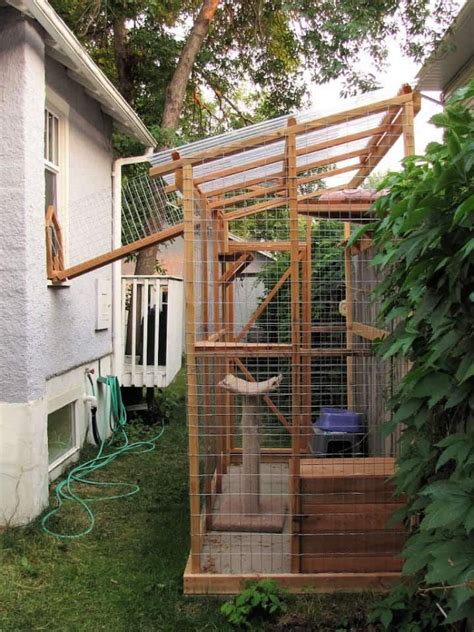 Easy Homemade Cat Enclosure Plans