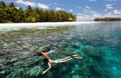 Best Maldives Resorts For Snorkeling at House Reef 2021