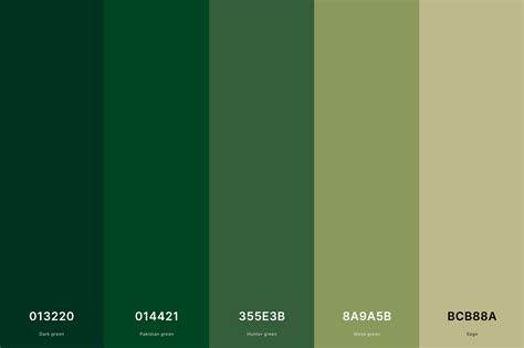 Dark Green Color Palette