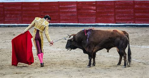 Is Bullfighting Cruel to the Bull?