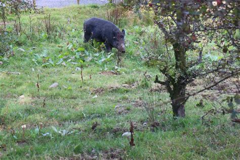 Lake District Wildlife Park Gallery - Visit Cumbria