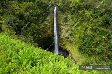 Akaka Falls; Big Island, Hawaii, United States Of America — island of ...