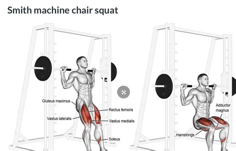 workout - Why should we put our feet forward in Smith Machine Squat ...