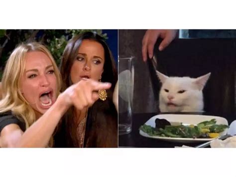 Woman Pointing At Cat Meme Template