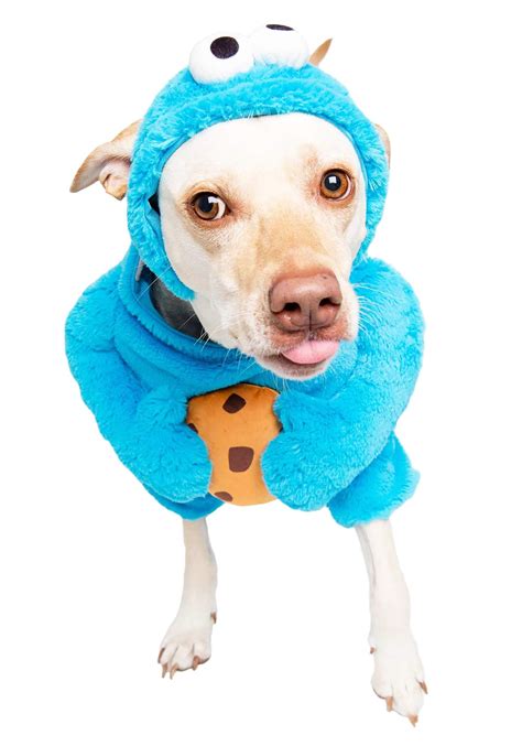 Buy Pet Krewe Unleash The Parade Cookie Monster Dog Costume Sesame ...