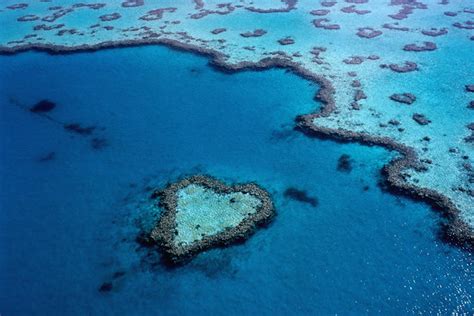 Great Barrier Heart Reef Australia Wallpaper-HD Downloads