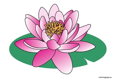 Water lily clipart – Coloring Page