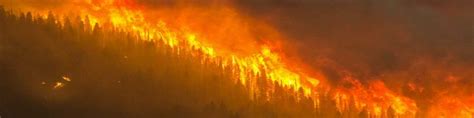 Wildfire Smoke: Health Effects and How to Protect Yourself - Dell Tech