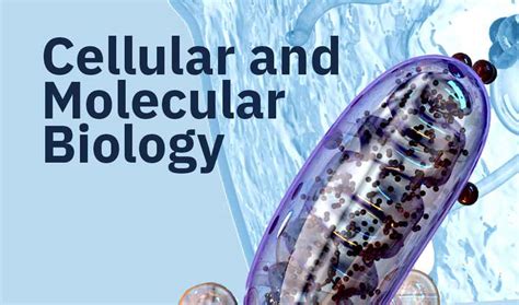 Cellular and Molecular Biology Research - Department of Biology