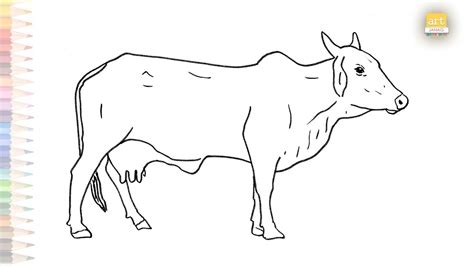 Cow Drawing Outline