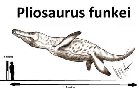 Explore the Best Pliosaurus Art | DeviantArt