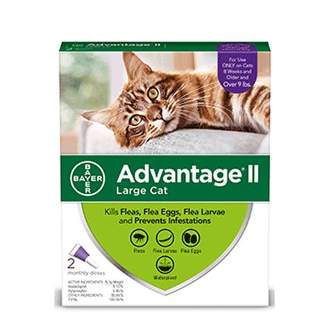 Advantage II Flea Prevention for Large Cats, 2 Monthly Treatments ...