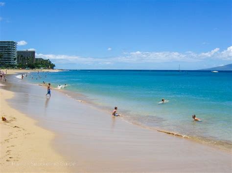 Kaanapali Beach & Black Rock Snorkeling Secrets! Local Insider Advice!