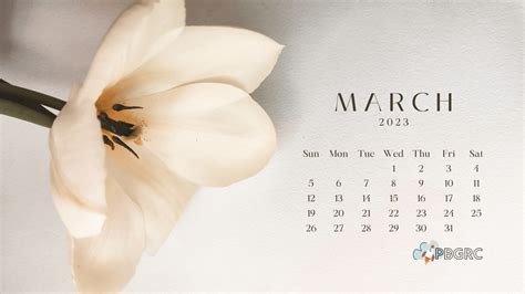 Cute March 2023 Calendar Floral Wallpaper HD | Calendar wallpaper ...