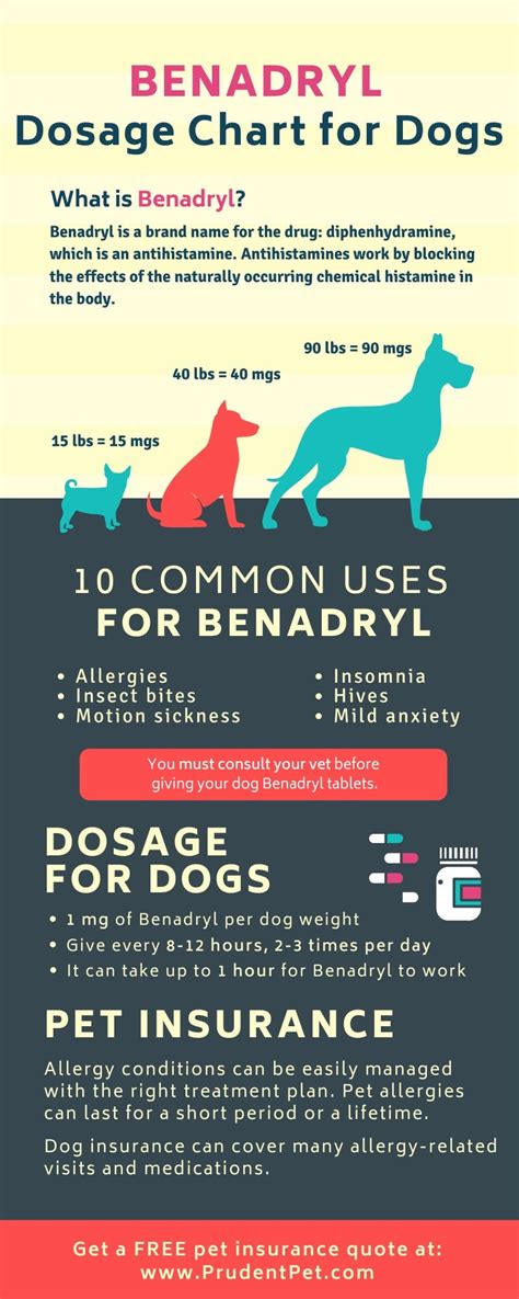 Can Benadryl Help A Dog With Fall Allergies