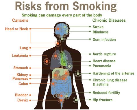 File:Risks form smoking-smoking can damage every part of the body.png ...