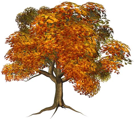 Free Fall Tree Clipartsr, Download Free Fall Tree Clipartsr png images ...