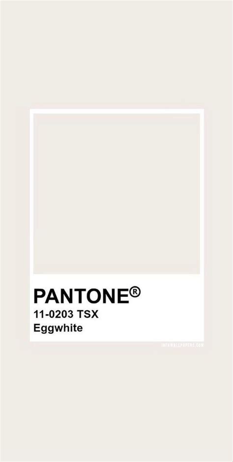 Pantone Palette: Cream White Color