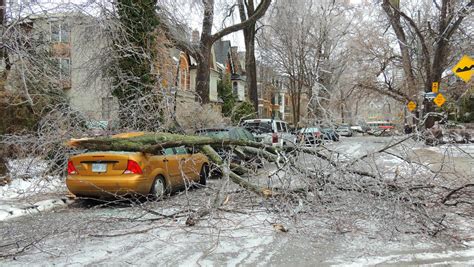 December 2013 Ice Storm .... Toronto, Ontario | .... Damaged… | Flickr