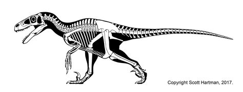 Image - Utahraptor skeleton.JPG | Dinosaur King | FANDOM powered by Wikia