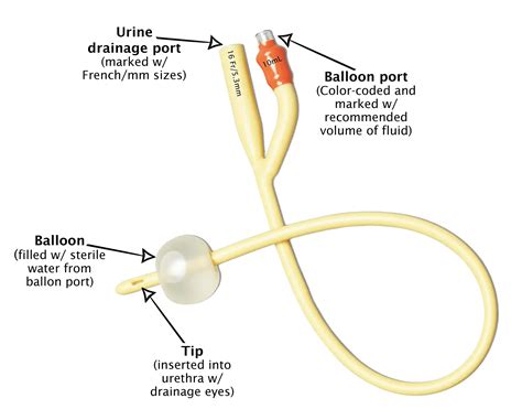 Male Catheters Types