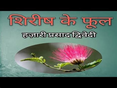 शिरीष के फूल Shirish ke phool | हिन्दीकुंज,Hindi Website/Literary Web ...