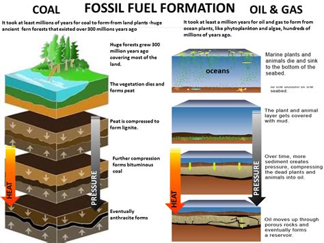 Fossil Fuels Formation | www.imgkid.com - The Image Kid Has It!