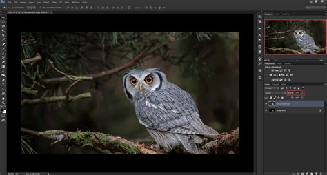 How to Fix Dark Shadows in Photoshop: 8 Steps (with Pictures)