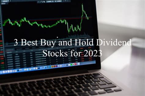 3 Best Buy and Hold Dividend Stocks for 2023 – Best Stocks Dividends ...