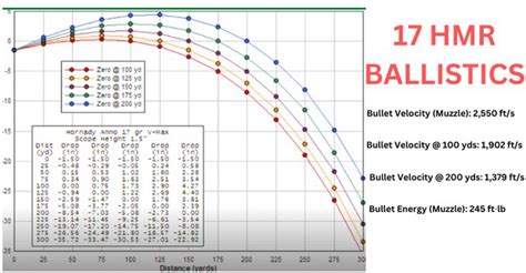 17 HMR Ammo: Specifications, Ballistics, Applications & More