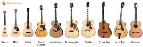 Types of Acoustic Guitars - Shape, Size, Sound & Suitability - Zing ...