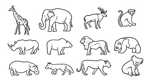 Easy wild animals drawing. Step by step drawing of giraffe, elephant ...