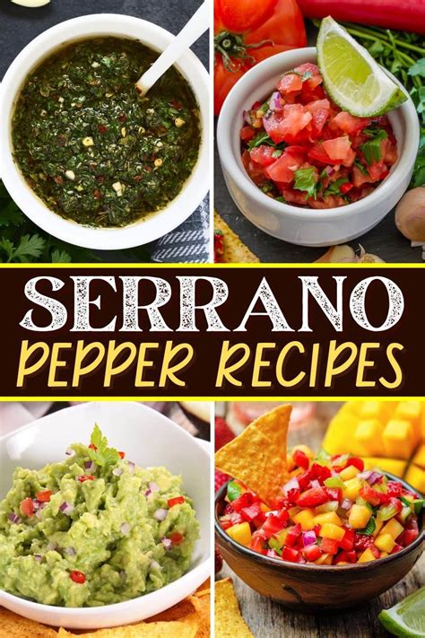 25 Best Serrano Pepper Recipes - Insanely Good