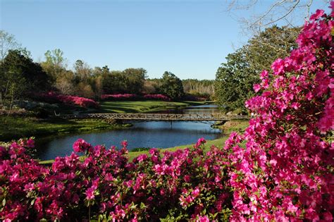 Bellingrath Gardens