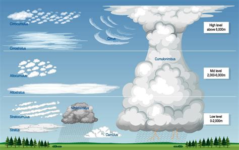 The different types of clouds with names and sky levels 2906657 Vector ...