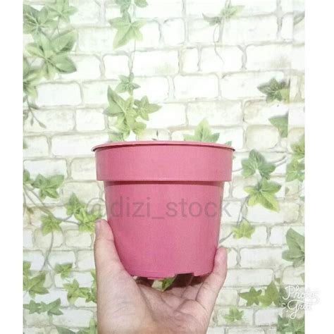 Inspirasi 19+ Pot Bunga Plastik Putih Besar