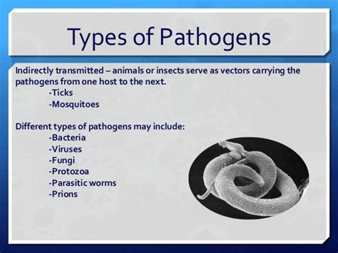 Types of Pathogens