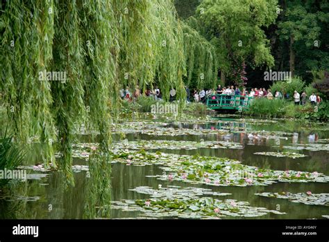 The Japanese Bridge in Water garden of Claude Monet Famous French Stock ...