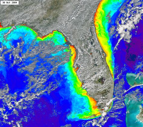 Florida Red Tide 2024 Map - Velma Jeanette