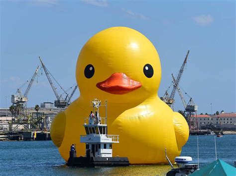 Ontario Giant Rubber Duck Is Counterfeit, Says Artist Who Created Other ...