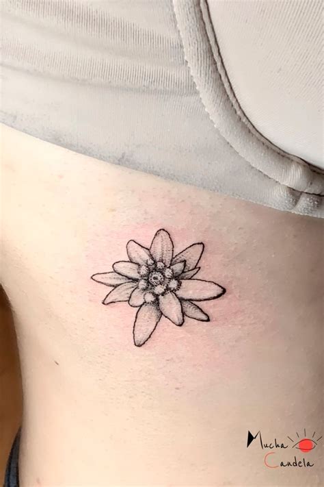 Edelweiss tattoo | Tatuajes populares, Tatoo flowers, Tatuaje texto