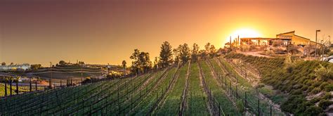 Miramonte Winery | Temecula Valley Winegrowers Association