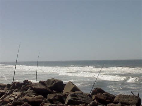 Fishing Report South Africa: Blue Lagoon Durban