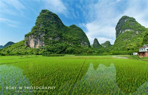 Rice Fields and Karst Peaks, Yangshuo, China | Rory W Photography