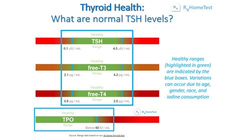 Normal TSH Levels: What’s Normal & Why? | RxHomeTest: At-Home Health Tests