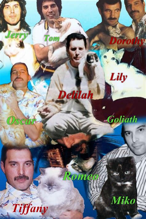 Freddie Mercury Cats Names - ismalaow