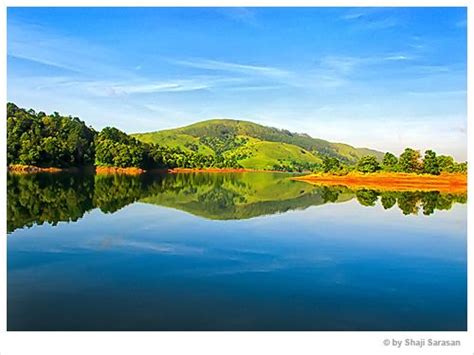 Thekkady - Wildlife Sanctuary, Kerala | Wildlife sanctuary, Wildlife ...